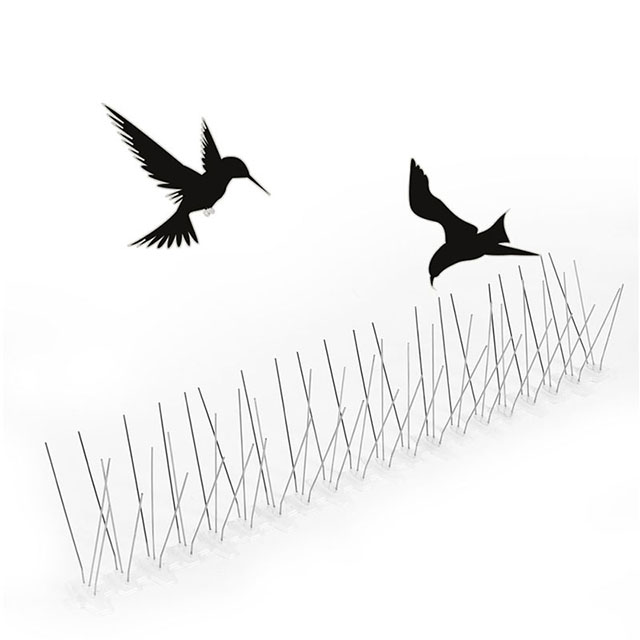 Endurable anti bird spike with high quality stainless steel base
